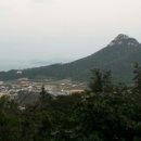 동석산흑염소 네이버블로그
