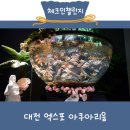 대전 엑스포 아쿠아리움 돌아기랑