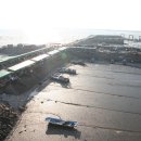 오이도종합어시장 이미지