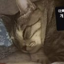 금호비치모텔 이미지