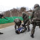도탄 이미지