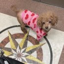 목련 노래방 이미지