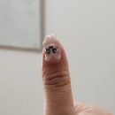 은결약국 | 계절은 또 날 되감는다