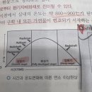 내화건축물 성장기 단계 이미지