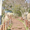 활주로낚시.등산 | 요즘 핫한 제주 도두봉 그리고 키세스존