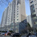 강릉중앙초등학교 이미지