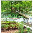 동해민박 | 동해역펜션 동해황토민박펜션에서의 환상적인 휴식 후기