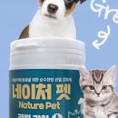 그린네이처 이미지