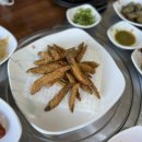 미꾸라지세상 이미지