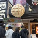 브레드플레인 | 오사카 도톤보리 디저트 맛집 멜론브레드(플레인, 말차 아이스 메론빵후기)
