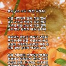 성천 이미지