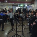 토보시