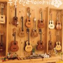 반려악기 우쿨렐레 이미지