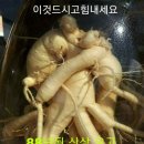 엘머스트