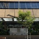 사   포 | 호주 포 시즌스 호텔 시드니 풀 하버뷰 상세후기(수영장, 룸서비스)