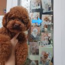 몽크의 아뜰리에 이미지