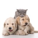 약선당약국 이미지