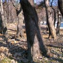 남해-150 이미지