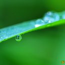 새롬농장 이미지