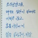 (謹弔)어둠을 밝히기 위해 소신공양(燒身供養)으로 열반(涅槃)에 드신 故 정원스님의 명복을 빕니다. 이미지