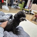 포유 행정사 사무소 이미지