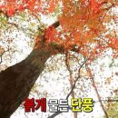 참이맛등촌점 | 10,11월 안냥~~