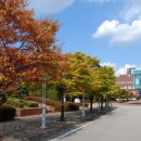 한국산업기술대학교(산업대) 이미지