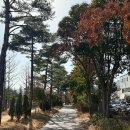 포항철길숲 이미지