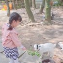 수아염소농장 네이버블로그