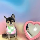 올치유치원 이미지