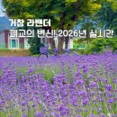허브빌리지 | 대구근교 나들이 경남 거창 허브빌리지 라벤더 꽃구경