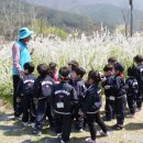 YMCA스포츠단어린이집 이미지