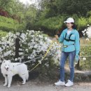 펫메이트(주) 이미지