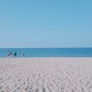 안목해변 이미지
