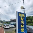 경산 점촌동 대구한의대 가성비 맛집 막썰어회 회포장 해동활어유통