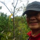 오곡경로당 이미지