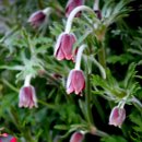 이렇게좋은날 이미지