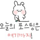 메이레(meilet) 네이버블로그