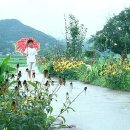 산계1리 이미지