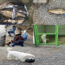 광탄낚시터 이미지