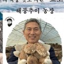 해풍추이