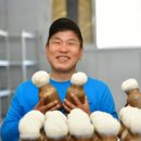 최병현농장 이미지