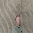 제주OK충전소 이미지