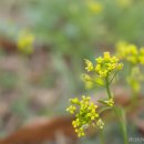 인천대공원(다목적광장) 이미지