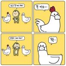 케이탑태권도 이미지