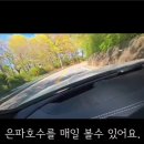 군산다모아하우스공인중개사사무소 이미지