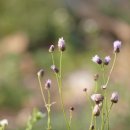 백남준로 이미지