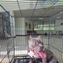 4공단로10길-4 이미지