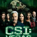 CSI 어린이 과학수사대 | 미드 추천 미국 수사 추리 대표 &lt;CSI 과학수사대&gt; 소개, 줄거리, 후기