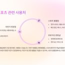 찬누리 여행사 네이버블로그